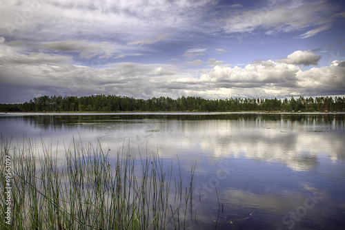 Swedish Landscape