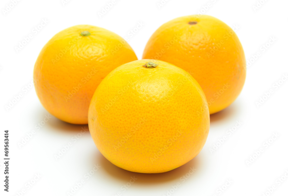 oranges isolated oranges isolated