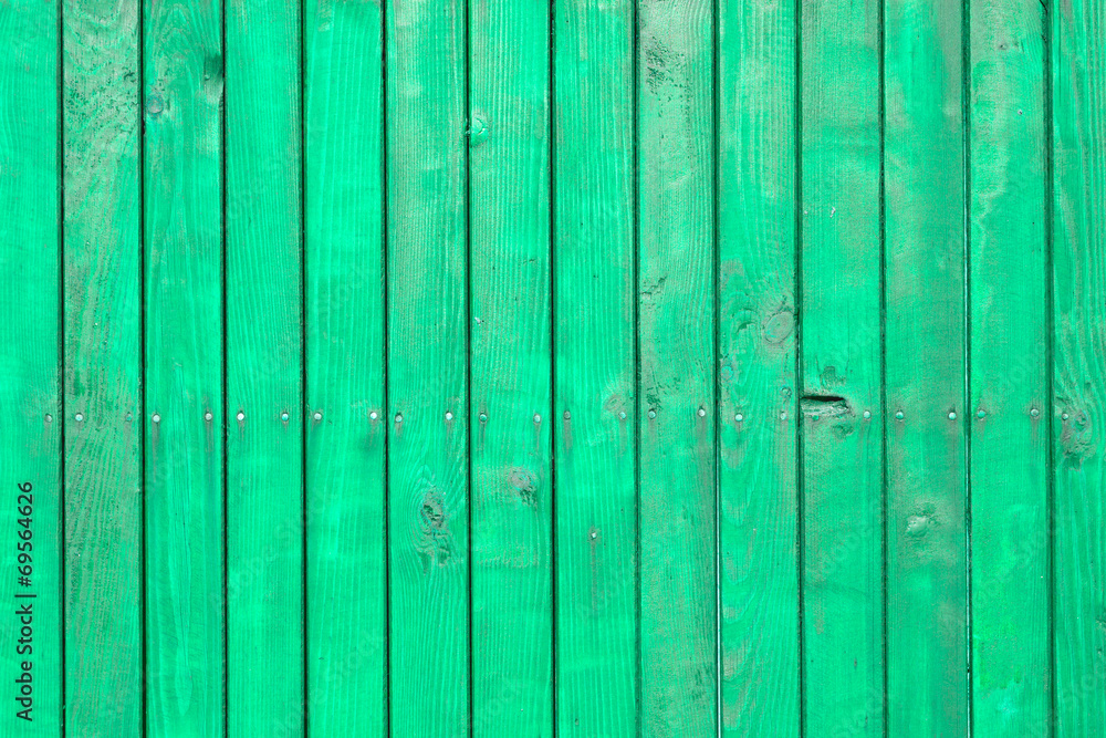 Naklejka premium The green wood texture with natural patterns