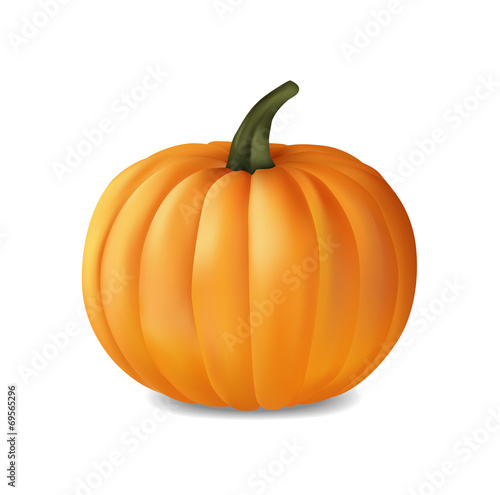 Pumpkin icon