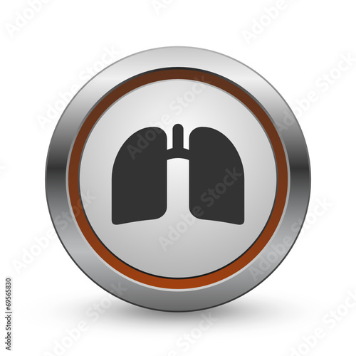 Chrome Vector Icon