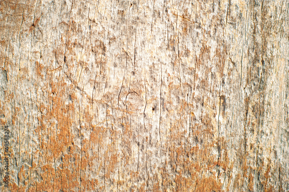 Old patterns of nature on wood, texture