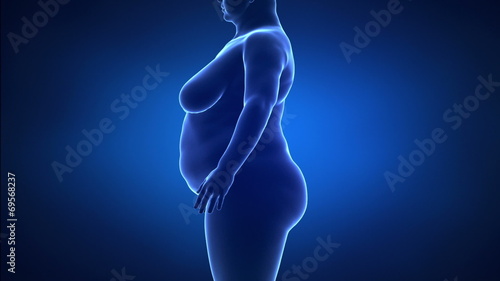 Obesity and healthy life style concept lateralview detail