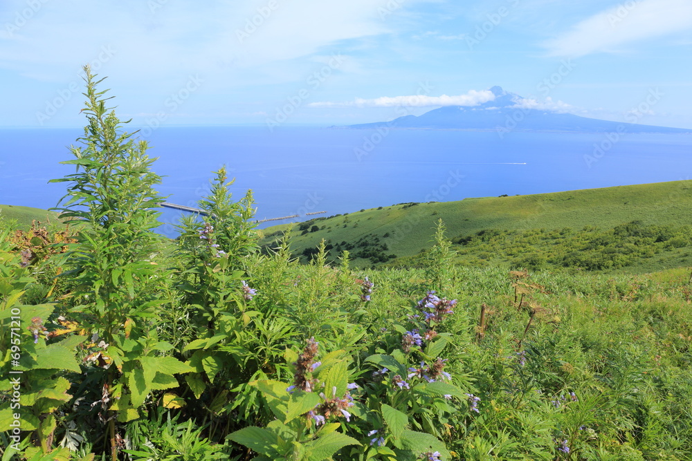 Beautiful scenery at Rebun island, Hokkaido, Japan