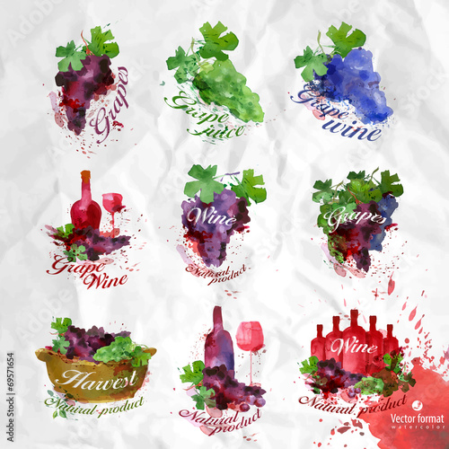 Grapes.Vector format