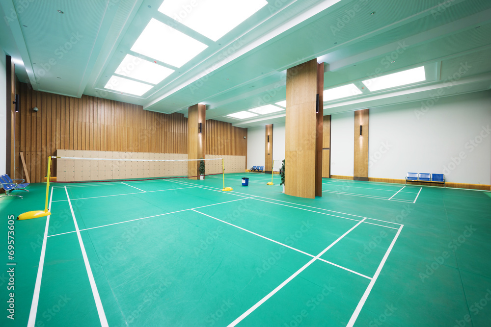 Bright Badminton Court