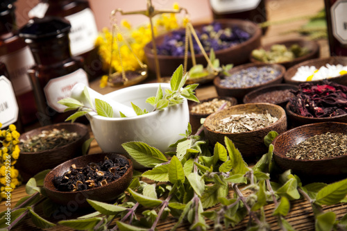 Assorted natural medical herbs and mortar © Sebastian Duda