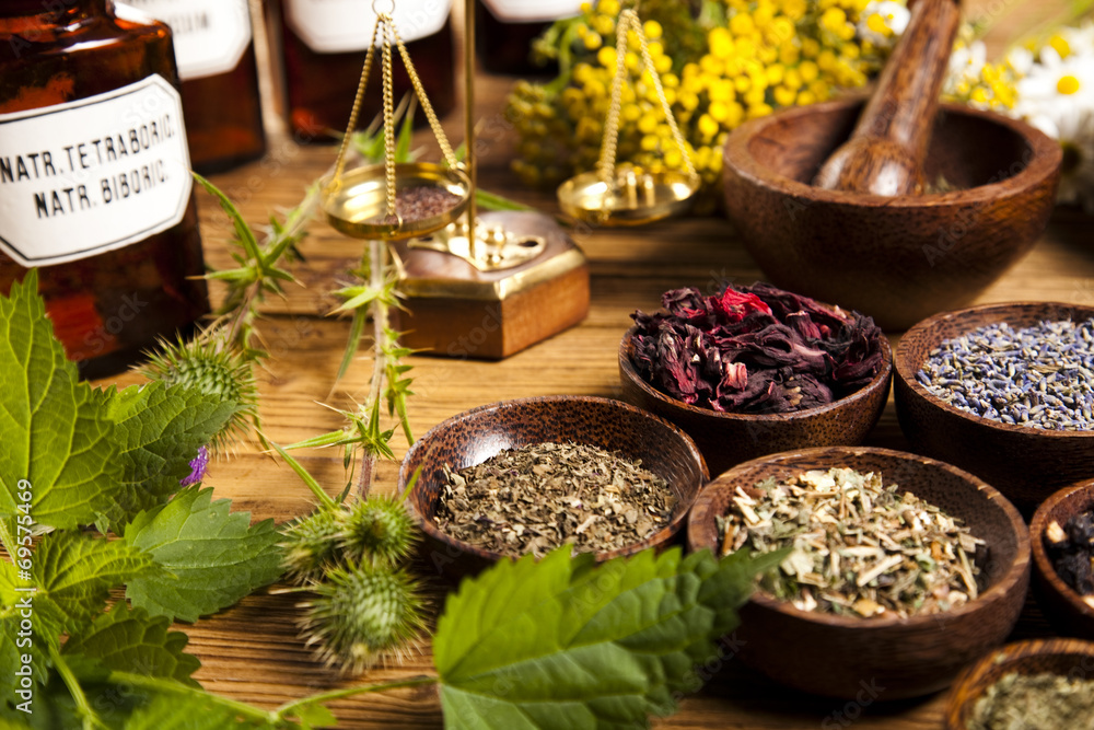 Fototapeta premium Fresh medicinal herbs on wooden 