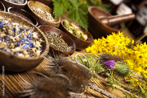 Alternative medicine, dried herbs  © Sebastian Duda
