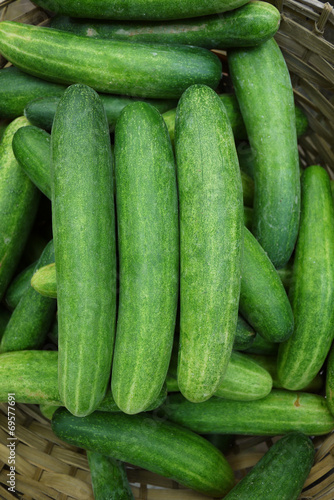 Asian cucumber after harvesting