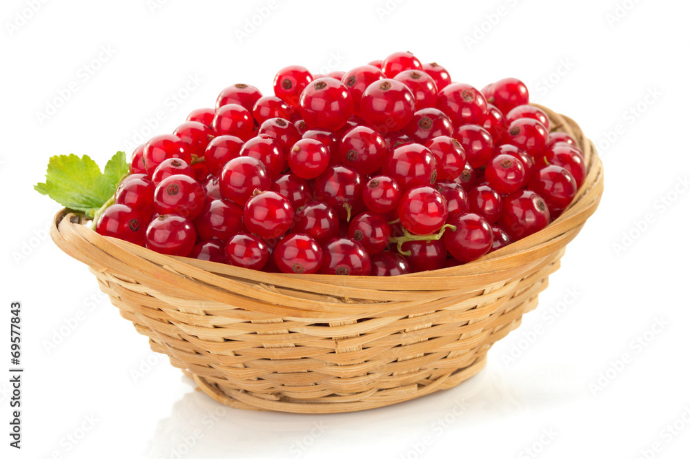 red currants on white red currants on white