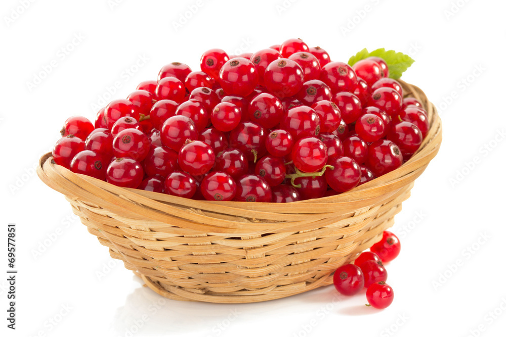 red currants on white red currants on white