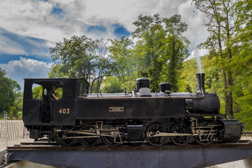 Naklejka premium Train touristique