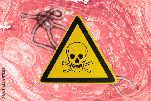 Canvas Print Microscopic view of the ebola virus