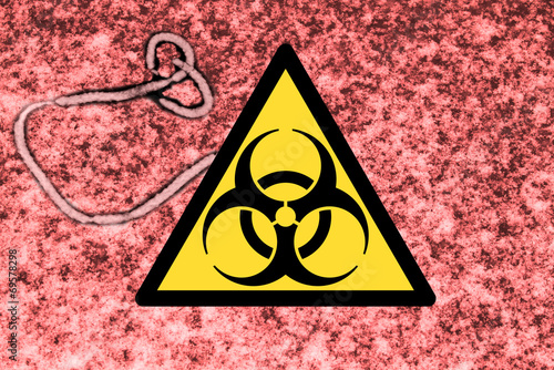 Obraz na plátně Microscopic view of the ebola virus