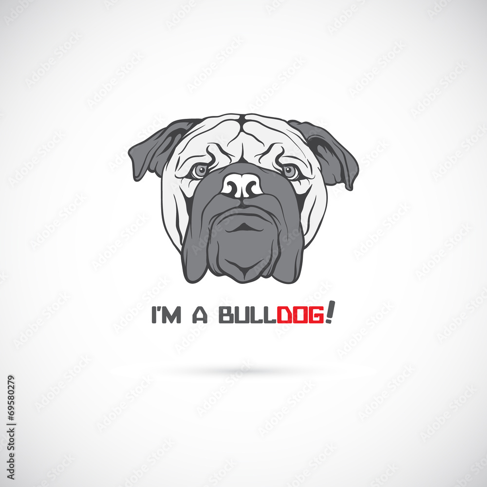 Bulldog head. Vector illustration.