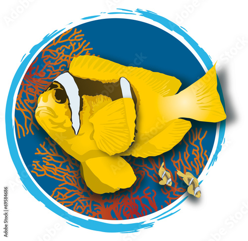 Atoll - Poissons clown