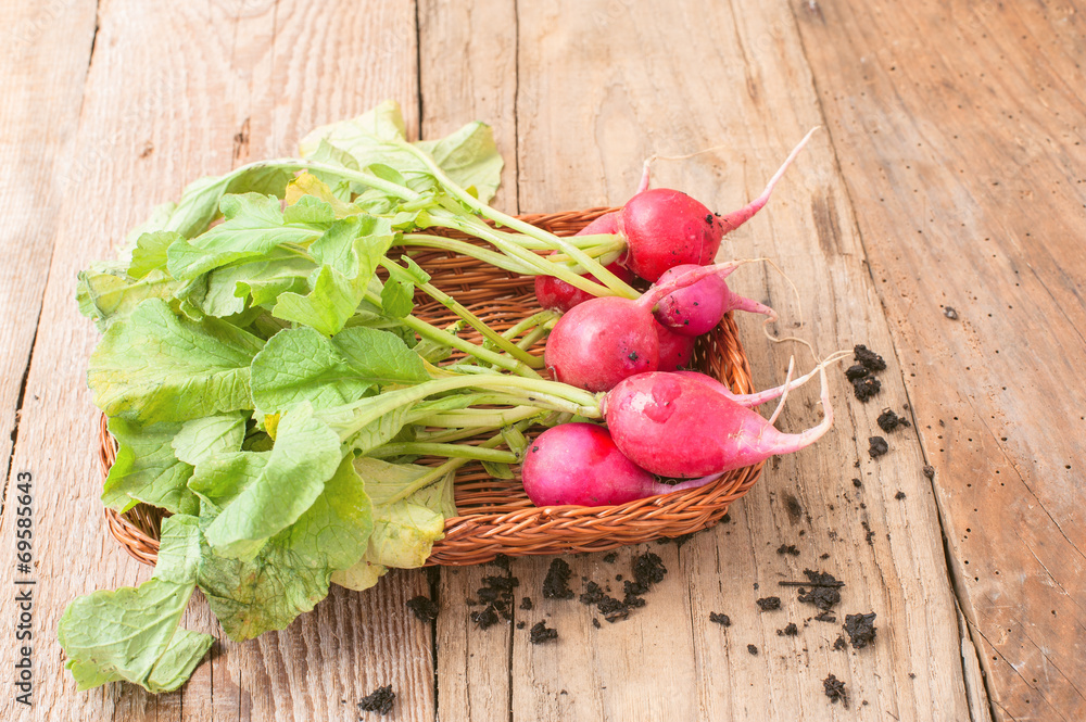 fresh radish on wooden table
