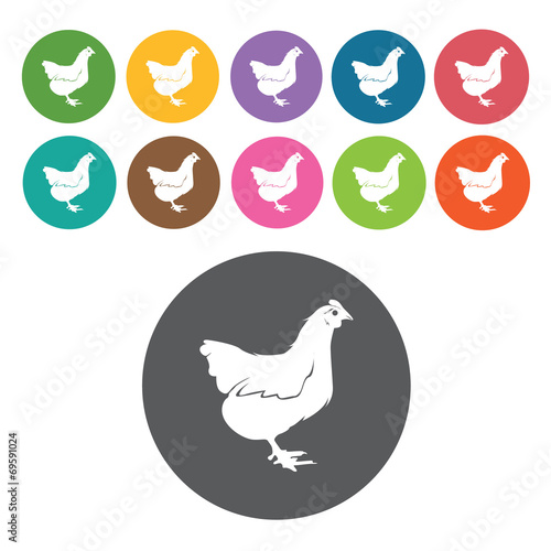 Chicken icons set. Round colourful 12 buttons. Vector illustrati