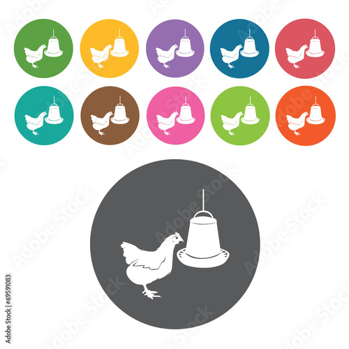 Chicken feed icons set. Round colourful 12 buttons. Vector illus