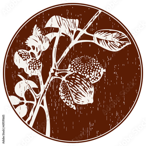 Abstract Composition With Nutmeg