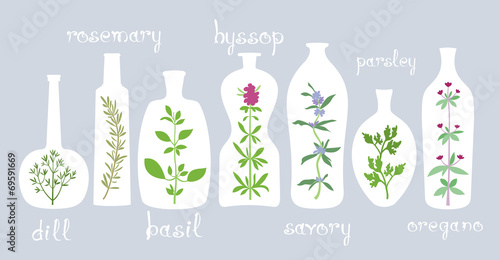 Aromatic Plants in Bottles