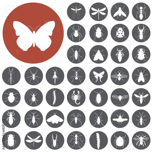 Insects icon set.  Illustration eps10
