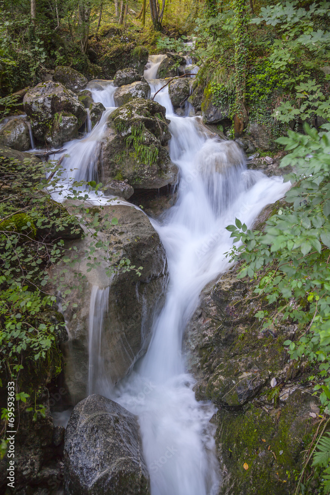 Rushing creek in the woods