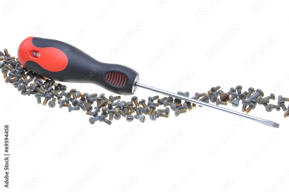 Obraz premium Screws and screwdriver isolated on white background