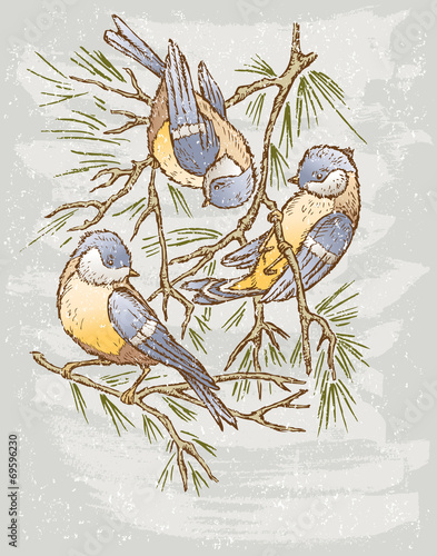 Titmouses on a branch