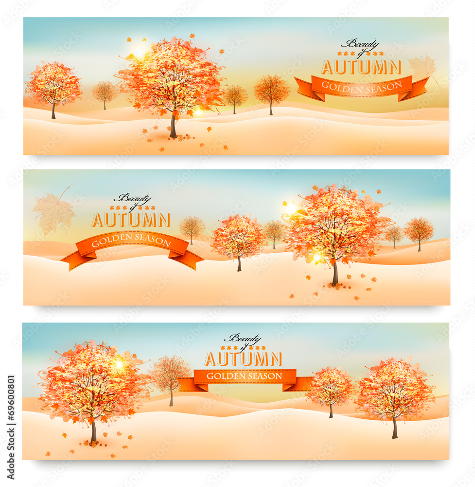 Three autumn abstract banners with colorful leaves and trees. Ve - obrazy, fototapety, plakaty 