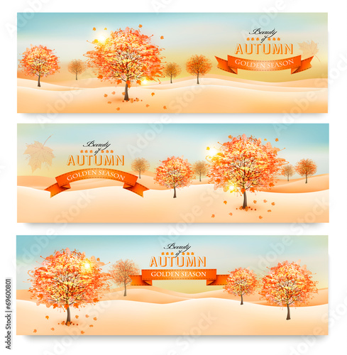 Three autumn abstract banners with colorful leaves and trees. Ve