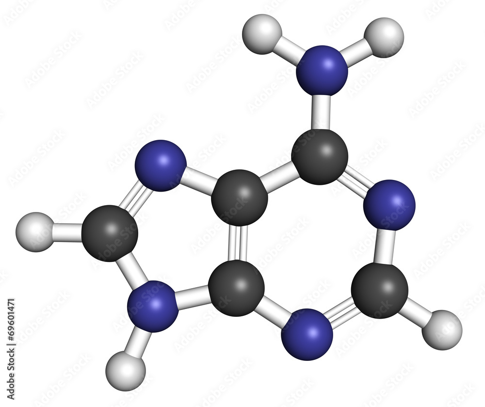 Adenine (A, Adenine) purine nucleobase molecule. 