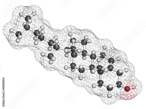 Cholesterol molecule. Essential component of cell membranes. photo