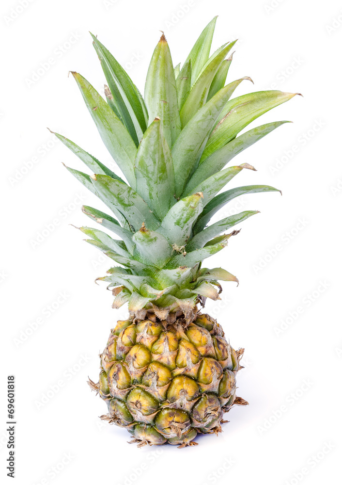 Fototapeta premium pineapple.