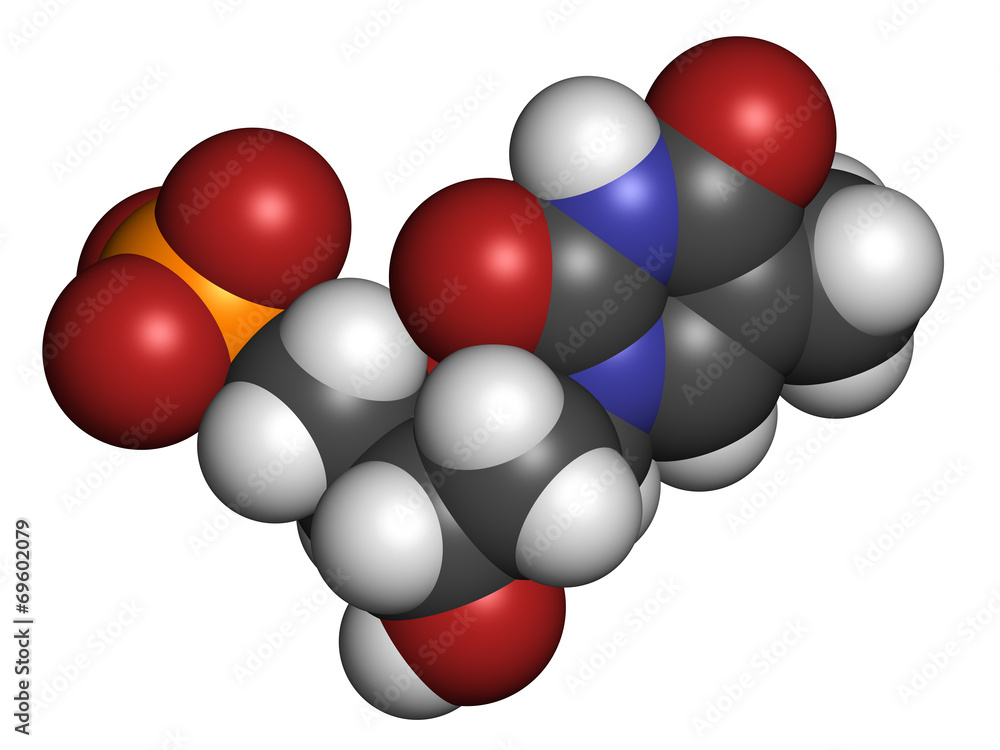 Thymidine monophosphate (TMP, thymidylate) nucleotide molecule. Thymidine monophosphate (TMP, thymidylate) nucleotide molecule.