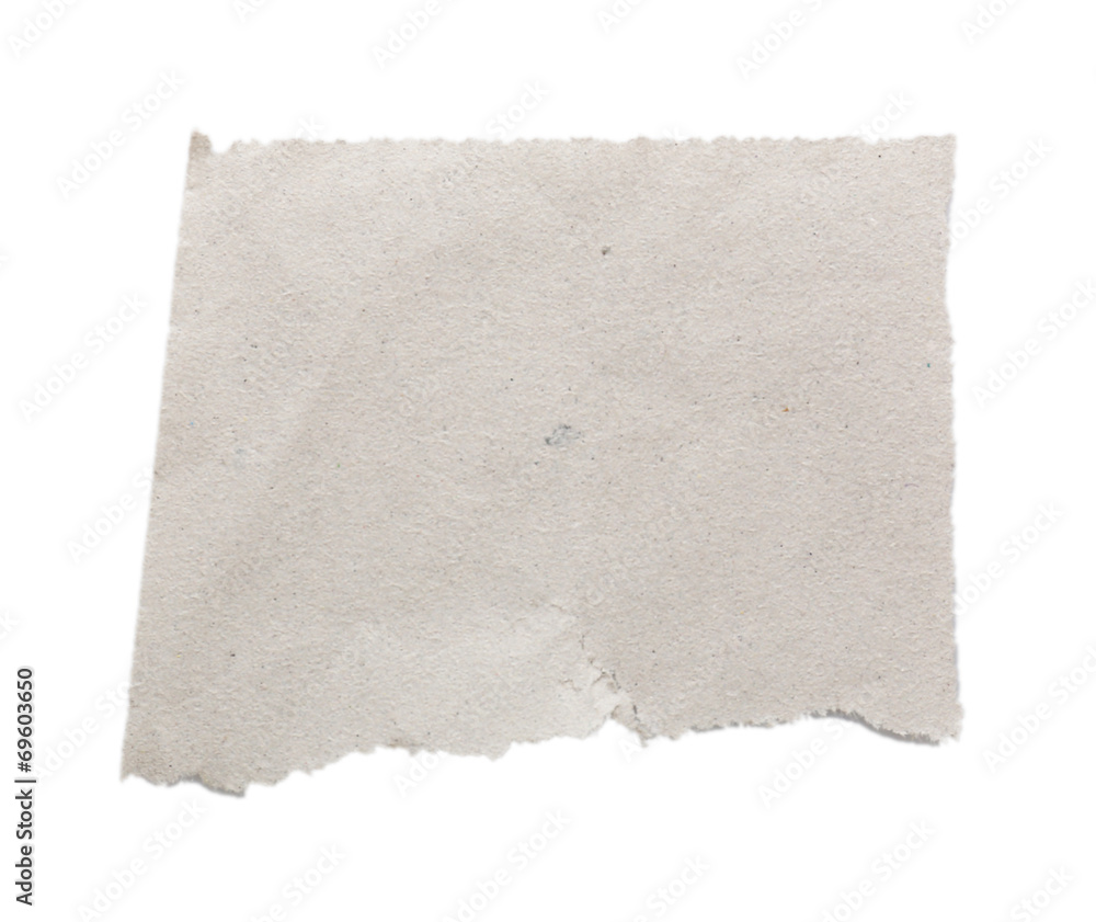 Obraz premium Torn blank paper isolated on white