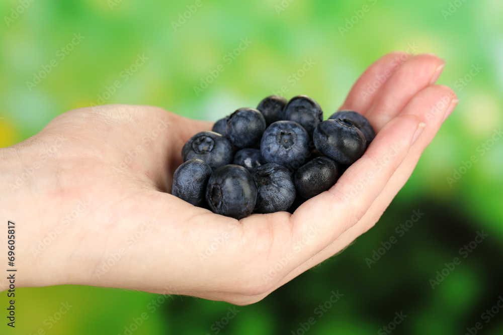 Female hand holding tasty ripe blueberries on nature background Female hand holding tasty ripe blueberries on nature background