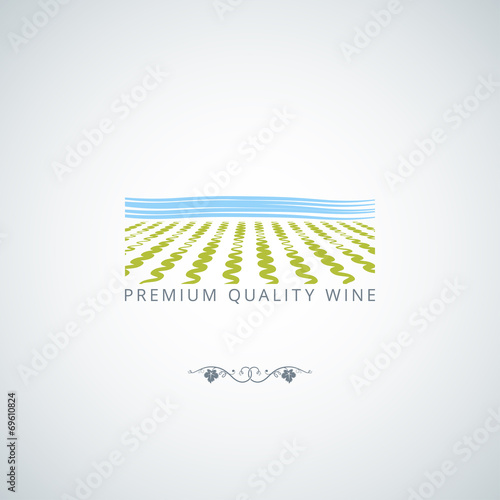 wine field background