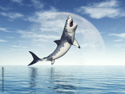 Great White Shark Jumping © Michael Rosskothen