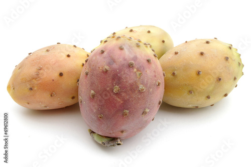 Photos figues de barbarie
