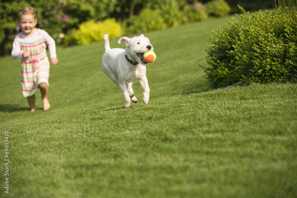 Junges Mädchen spielt mit Hund im Garten Junges Mädchen spielt mit Hund im Garten