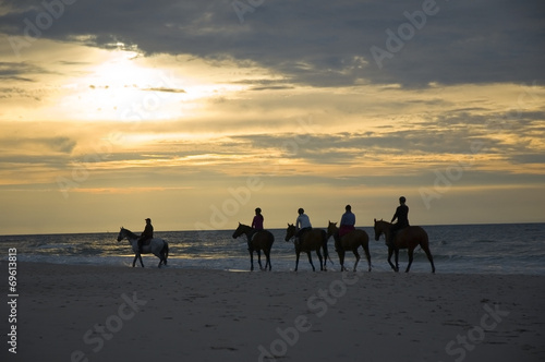 Horses on a beach © Mariusz Świtulski