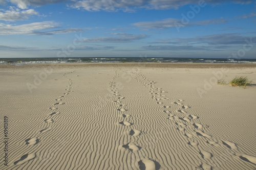 Baltic Sea coast