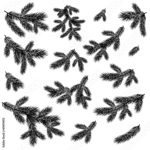 Christmas spruce tree branches black silhouettes
