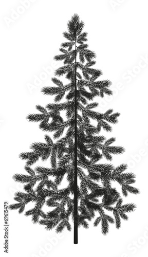 Christmas spruce fir tree silhouette