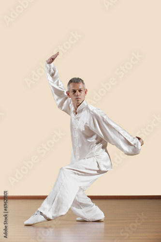 Lange Faust Style,Kung Fu Lehrer und Jungen © tunedin
