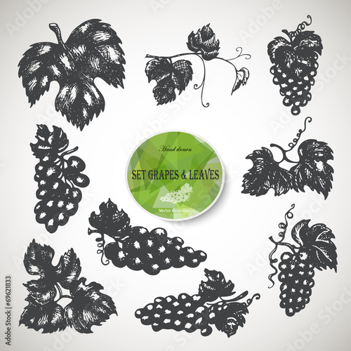 Hand drawn Set of grapes and leaves. Vector illustration
