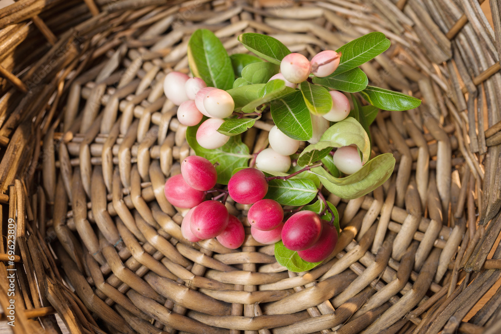 Carunda, Karonda fruite in rattan tray. Carunda, Karonda fruite in rattan tray.