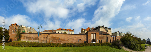 Panoramic view of Torun old town, Poland.